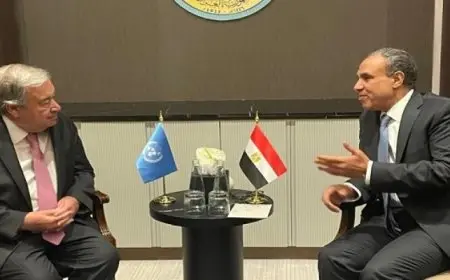 وزير الخارجية يبحث مع جوتيريش ضرورة وقف إطلاق النار ورفع الحصار عن قطاع غزة