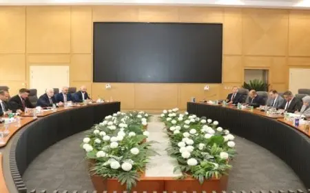 وزير الكهرباء: التزام مصرى روسى بالجدول الزمنى لمحطة “الضبعة” النووية