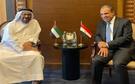 وزير الخارجية يبحث مع وزير الدولة الإماراتى العلاقات الأخوية والمستجدات بغزة واليمن وليبيا وسوريا