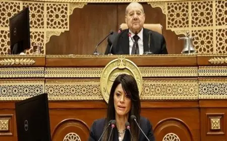 المشاط: خطة التنمية الاقتصادية للعام المقبل تتبع نهجًا توازنيًا يُعزز القدرة على مواجهة الأزمات