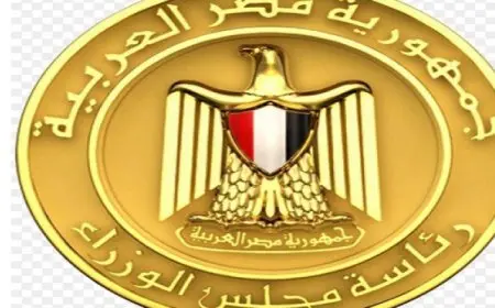 “الوزراء”: مصر ضمن أفضل 12 دولة أداءً بمؤشر الأمن السيبرانى العالمى