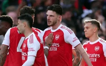 أرسنال يتغلب على نيوكاسل بـ«هدف مذهل» من رايس ويضمن وصافة الدوري الإنجليزي «فيديو»