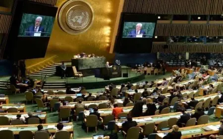 دعم عربى قوى لترشيح تاريخى لفلسطين فى الأمم المتحدة