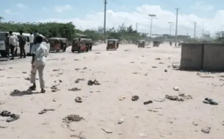 قتلى فى تفجير بمقديشو وحركة الشباب تعلن مسؤوليتها