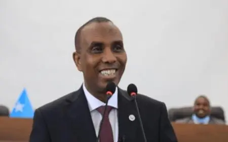 رئيس الوزراء الصومالى: أحرزنا تقدما ملموسا ضد المليشيات الإرهابية