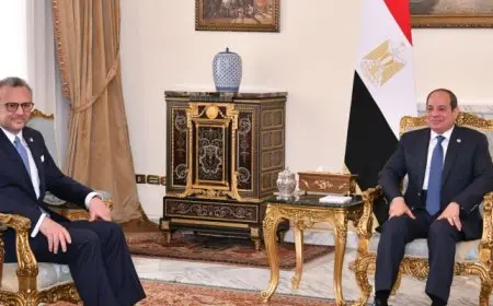 الرئيس السيسى يؤكد عمق العلاقات الاستراتيجية بين مصر والولايات المتحدة