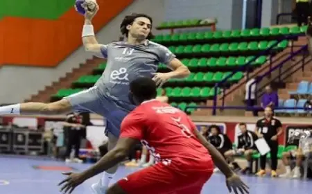 كرة اليد.. الأهلى يتأهل لربع نهائى كأس الكؤوس الأفريقية