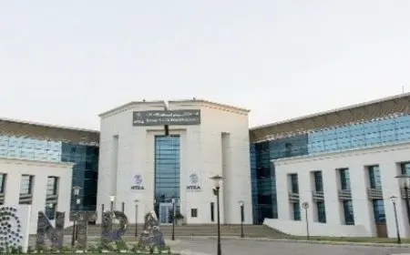 لوقف المكالمات المزعجة.. «تنظيم الاتصالات» يطرح مجموعة جديدة من الإجراءات