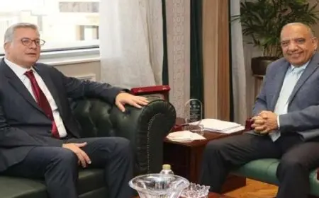 وزيرا الكهرباء والبترول يناقشان خطة العمل وتوفير الوقود لتأمين التغذية الكهربائية خلال فصل الصيف