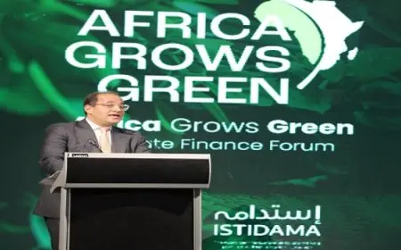 وزير المالية: فرص واعدة ومحفزة للقطاع الخاص للاستثمار فى التحول للاقتصاد الأخضر