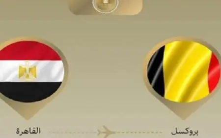 وزير الخارجية يتوجه إلى بلجيكا للمشاركة في الاجتماع الوزارى الإفريقي الأوروبى