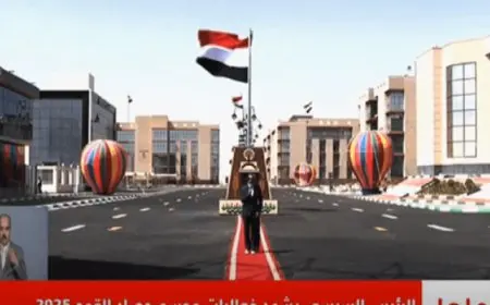 الرئيس السيسى يشهد افتتاح مجمع المصالح الحكومية للخدمات الذكية بالوادى الجديد عبر ال كونفرانس