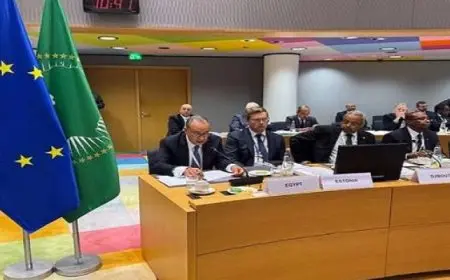 وزير الخارجية يؤكد إيمان مصر الراسخ بالنهج الشامل فى الحفاظ على السلام المستدام من خلال دعم دور الدولة