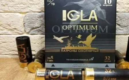 روسيا تكشف عن ذخيرة مضادة للطائرات المسيرة صغيرة الحجم