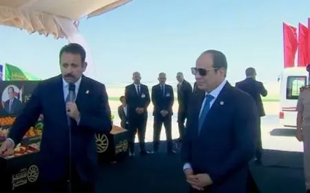 الرئيس السيسى يتفقد المشروع الجديد لمدينة مستقبل مصر