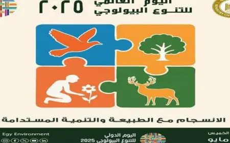 وزيرة البيئة: التعاون الدولى متعدد الأطراف هو السبيل الوحيد لإنقاذ كوكب الأرض