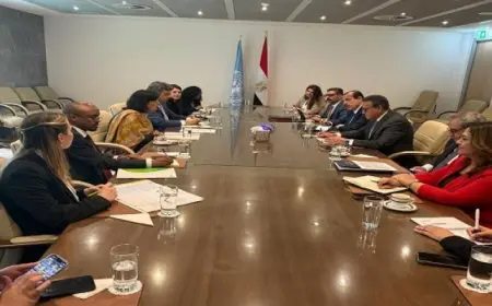 وزير الصحة يبحث مع رئيس “جافى” آليات تُسهم فى التوسع بصناعة اللقاحات