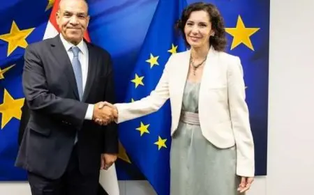 وزير الخارجية يؤكد رفض مصر الكامل للسياسات الإسرائيلية واستخدام التجويع كسلاح ضد الشعب الفلسطينى