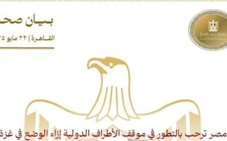 مصر ترحب بالتطور فى موقف الأطراف الدولية إزاء الوضع فى غزة