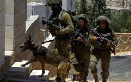 إصابة 7 فلسطينيين خلال اقتحام قوات الاحتلال مخيم “الجلزون” شمال رام الله