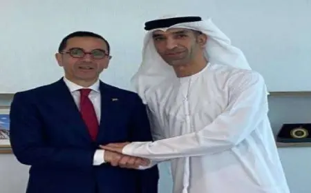 وزير الاستثمار يستعرض مع وزير الدولة الإماراتى للتجارة الخارجية الشراكة الاستراتيجية بين البلدين