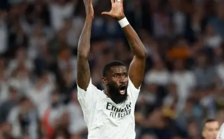 لجنة الاستئناف تقرر مصير عقوبة إيقاف روديغر