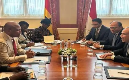 وزير الخارجية يشيد بالعلاقات المتميزة التى تجمع بين مصر وغانا