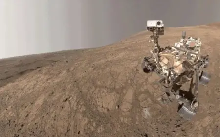 المركبة الفضائية «بيرسيفيرانس» تلتقط سيلفي مع «شيطان غبار مريخي»