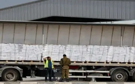 الأمم المتحدة: نقل نحو 90 شاحنة محملة بالمساعدات إلى غزة