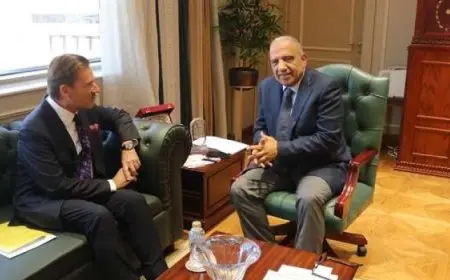 وزير الكهرباء: نستهدف توسيع التعاون مع الشركات السويسرية فى الطاقة المتجددة