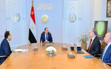 الرئيس السيسى يؤكد ضرورة استمرار جهود الدولة فى تعزيز الإنتاج المحلى من البترول والغاز