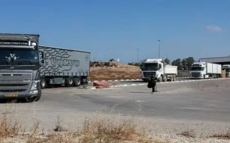 ألمانيا: المساعدات التى دخلت غزة قليلة جدا ومتأخرة جدا