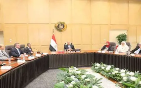 كامل الوزير يلتقى صنّاع ومُنتجى الحديد لوضع سياسات موحدة لتعميق الصناعة وتحويل مصر إلى مركز إقليمى لتجارة الحديد
