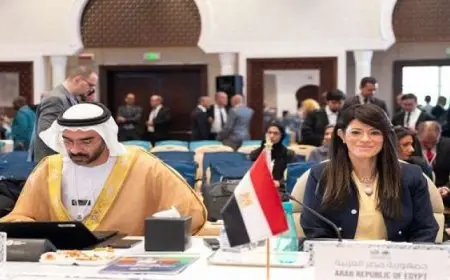 المشاط: الاستقرار الاقتصادى ضرورة لدفع النمو لكنه لا يكفى بدون إصلاحات هيكلية