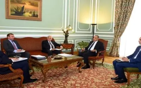 وزير الخارجية يلتقى رئيس مجلس إدارة غرفة التجارة الأمريكية بالقاهرة