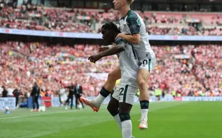 سندرلاند يعود إلى الدوري الإنجليزي الممتاز بعد 8 سنوات من الغياب