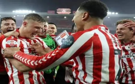 سندرلاند يصعد إلى الدورى الإنجليزى الممتاز