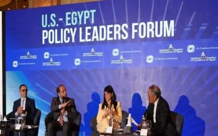 وزير المالية: سجلنا أعلى معدل للفائض الأولي بنسبة ٣,١٪ خلال ١٠ شهور