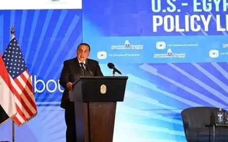 مدبولى: تمكين القطاع الخاص حجر الزاوية فى استراتيجية مصر للتحول الاقتصادى