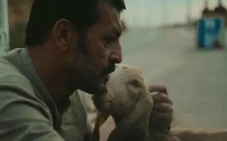 عرض فيلم “قهر” للمخرجة الفلسطينة ندى خليفة لأول مرة عالميا فى مهرجان كراكاو السينمائى