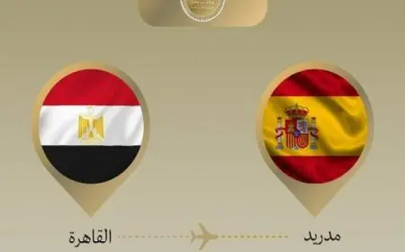 وزير الخارجية يتوجه لمدريد للمشاركة فى الاجتماع الوزارى الموسع بشأن القضية الفلسطينية