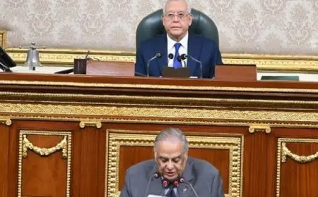 النواب يوافق نهائيا على تعديلات قوانين تقسيم الدوائر ومجلسى النواب والشيوخ