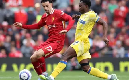 كريستال بالاس يُجبر ليفربول على التعادل ويُفشل جهود صلاح