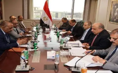 وزير الكهرباء يبحث مع وزير النفط السودانى إعادة تأهيل الشبكة الكهربائية فى السودان
