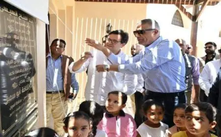 وزير الثقافة ومحافظ أسوان يفتتحان قصر ثقافة أبو سمبل الجديد