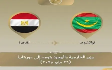 وزير الخارجية يتوجه إلى موريتانيا فى زيارة ثنائية