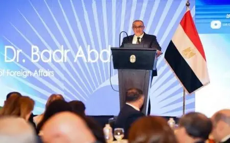 وزير الخارجية يؤكد استعداد الحكومة للتعاون مع الشركات الأمريكية وضمان تسهيل دخولها السوق المصرية