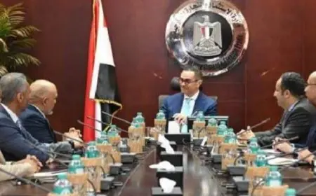 وزير الاستثمار: حريصون على تقديم الدعم لشركات الاتصالات للتوسع فى السوق المصرية