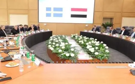 مصر والسويد تبحثان تعزيز التعاون فى الطاقة المتجددة والربط مع الشبكة الأوروبية