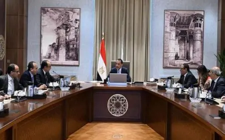 رئيس الوزراء يؤكد ضرورة مواصلة تحسين أداء الشركات القابضة التابعة لقطاع الأعمال العام